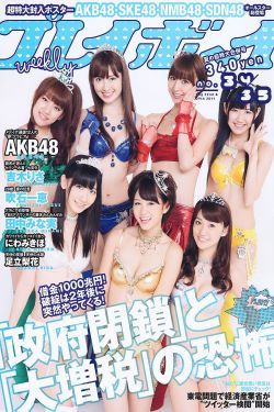打黑风暴22集全